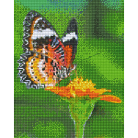 Motýľ 809392